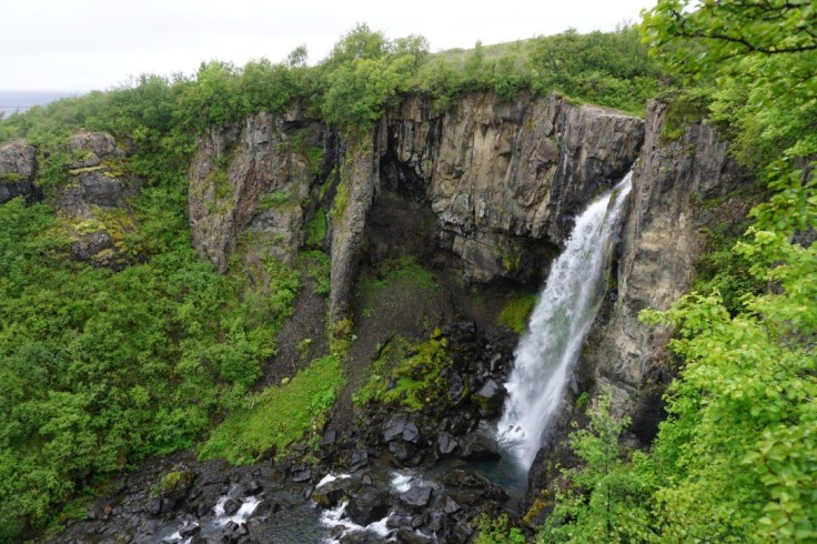 thumb_thumb_DSC04562_1024_1024