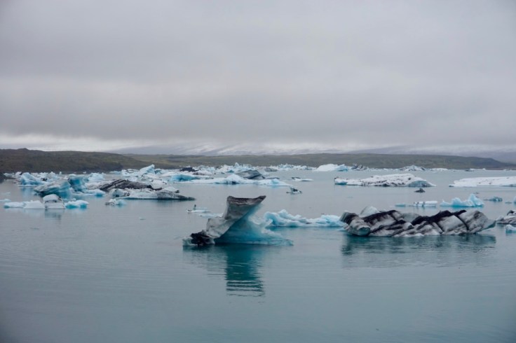 thumb_thumb_DSC04650_1024_1024