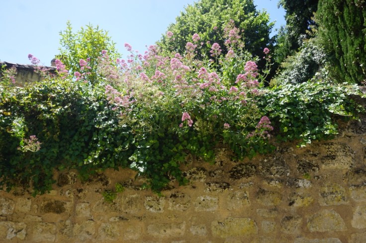 Balade à Saint-Emilion