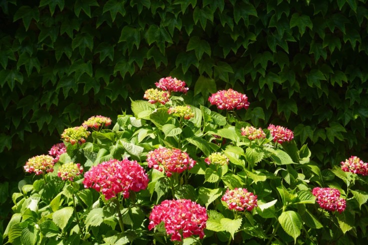 Visiter le village médiéval de Saint-Macaire en Gironde