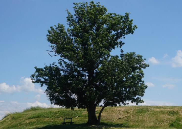 Promenade au sein de la citadelle de Blaye