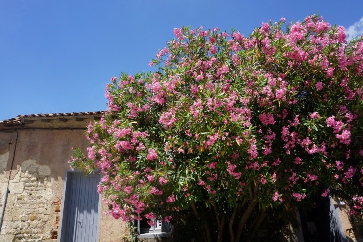 Promenade au sein de la citadelle de Blaye