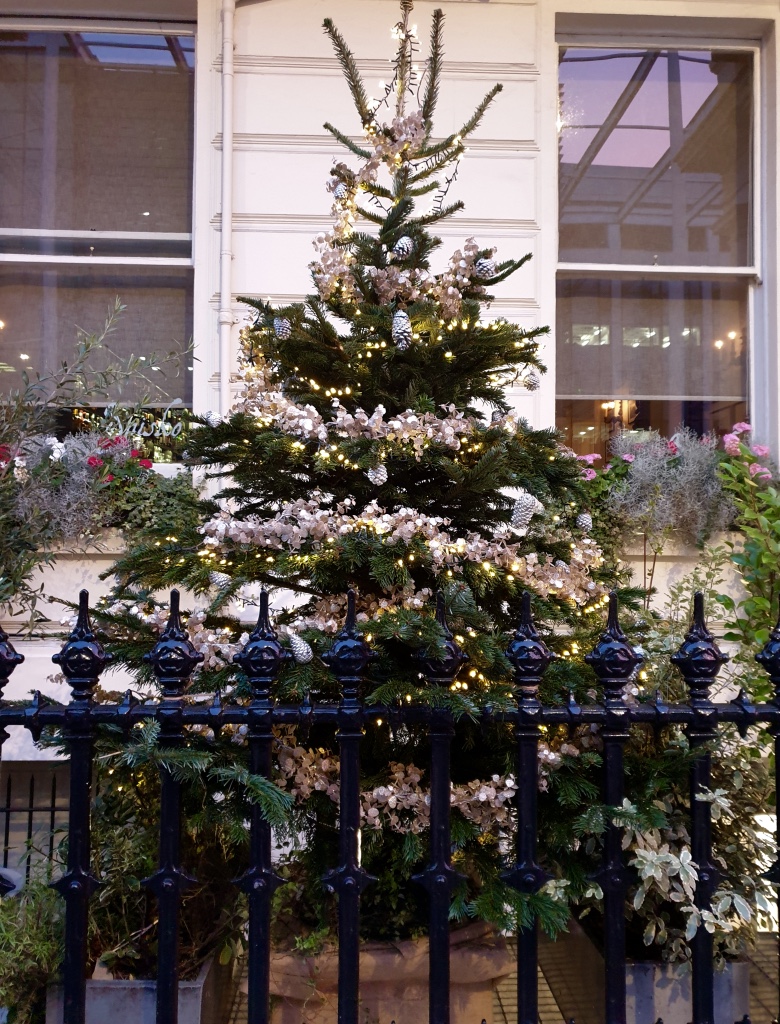 thumb_20201204_155738_1024