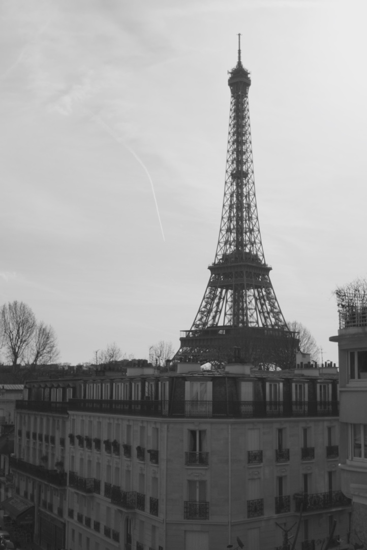 thumb_thumb_DSC00001_1024_1024