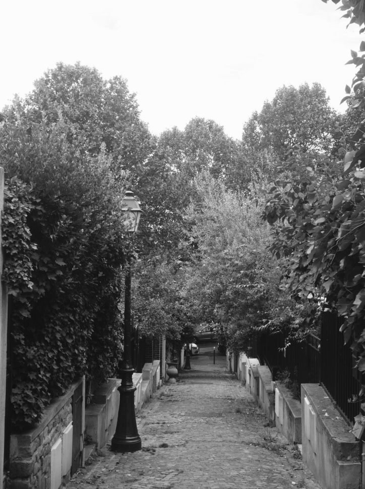 thumb_thumb_DSC07923_1024_1024