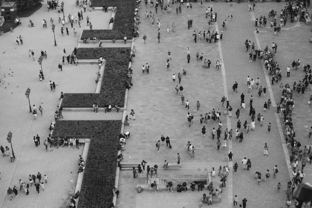 thumb_thumb_DSC08818_1024_1024