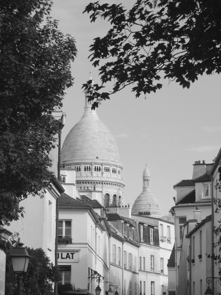 thumb_thumb_IMG_7439_1024_1024