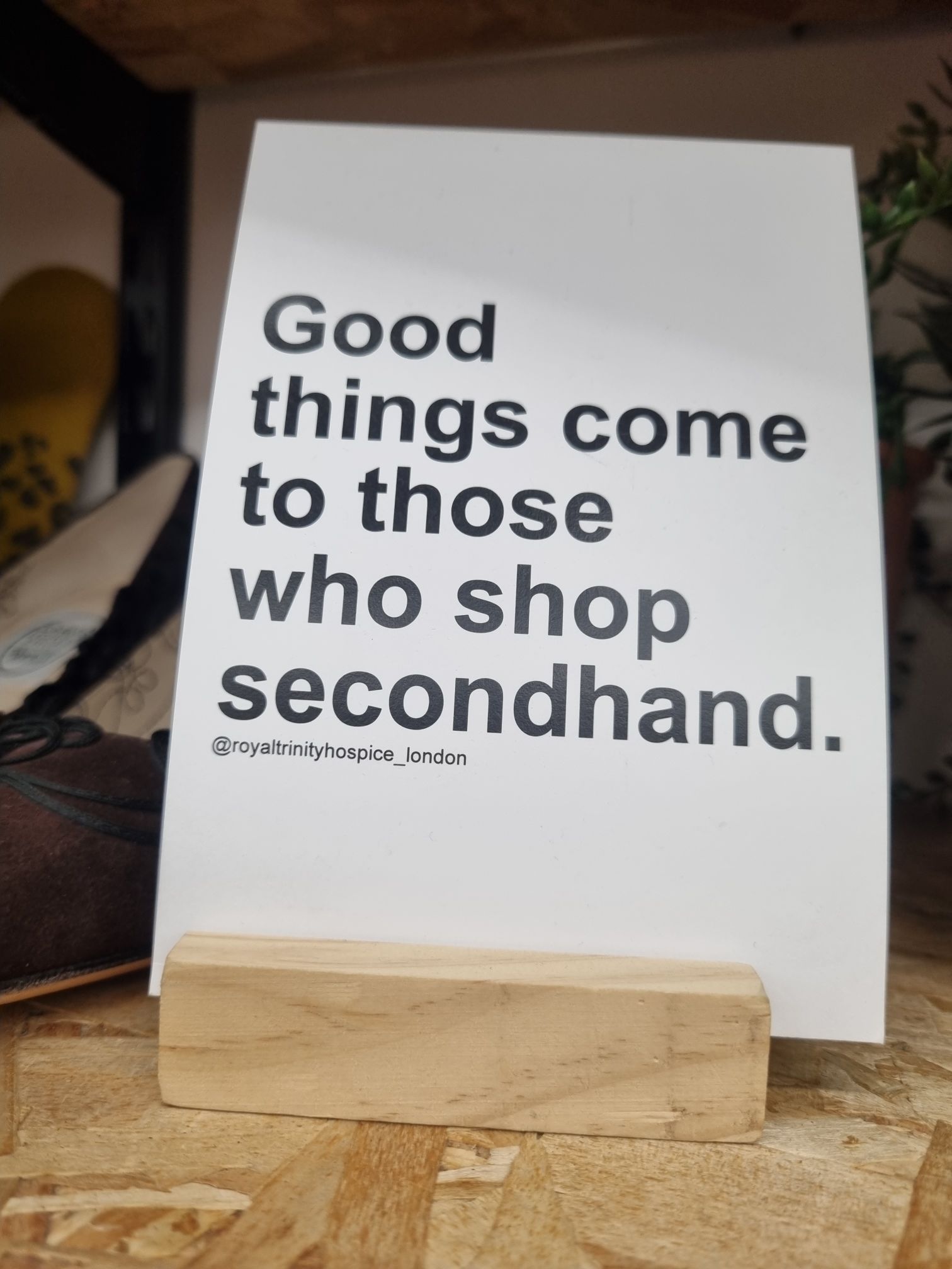 wp-1707312051461291511103406587162