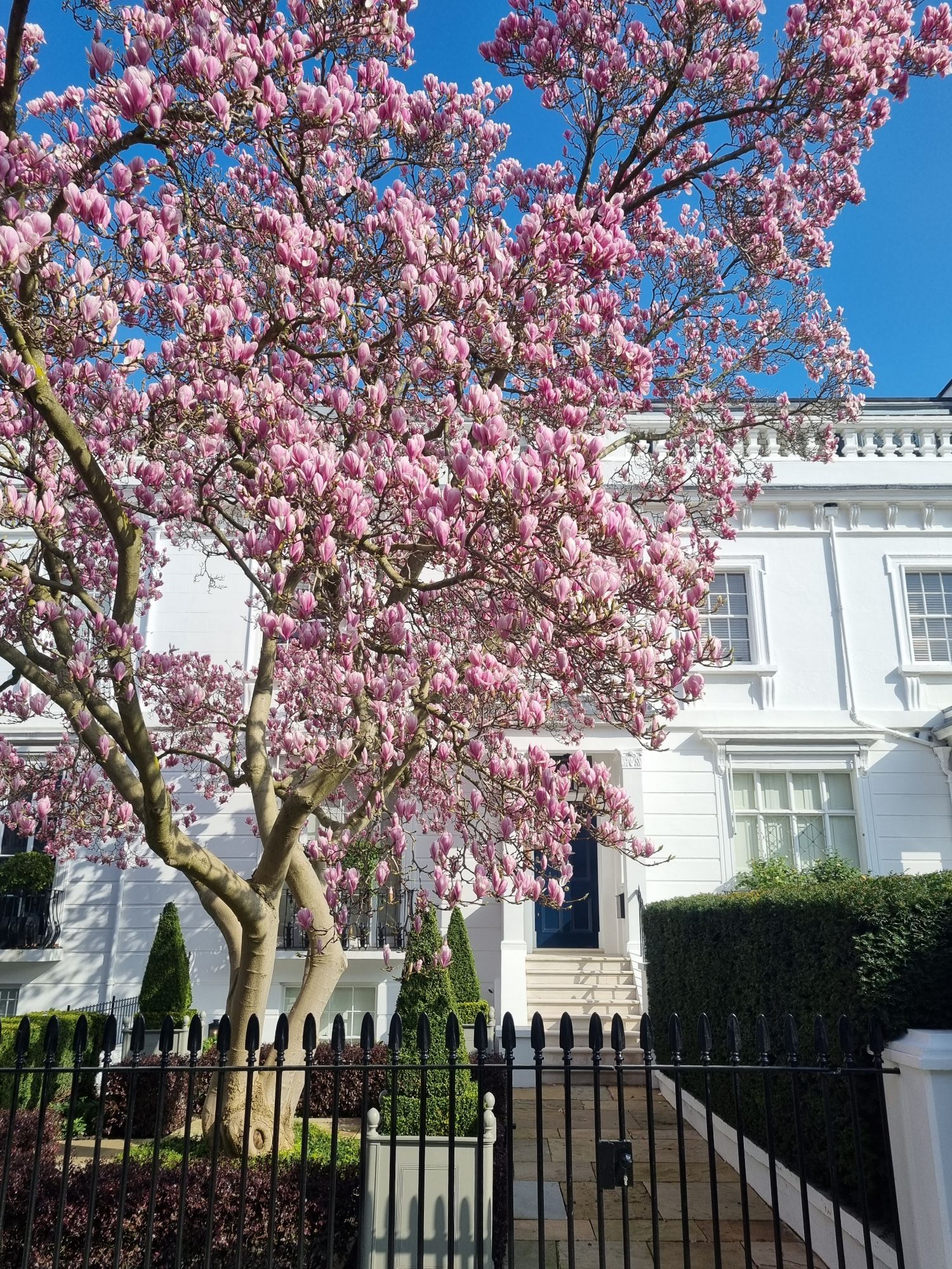 20240306_1126282187684700250585249