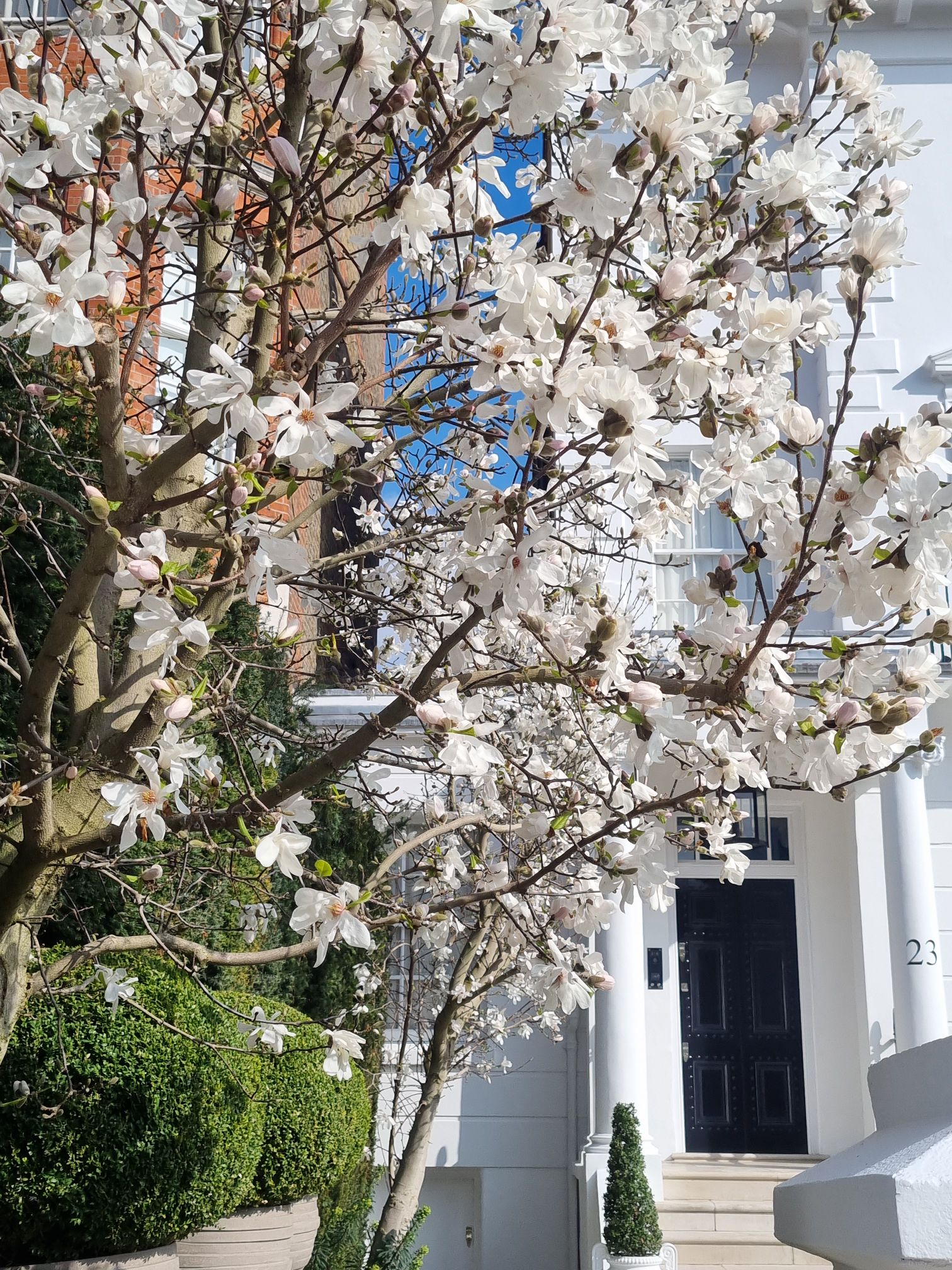 20240306_1127316207266231653062348