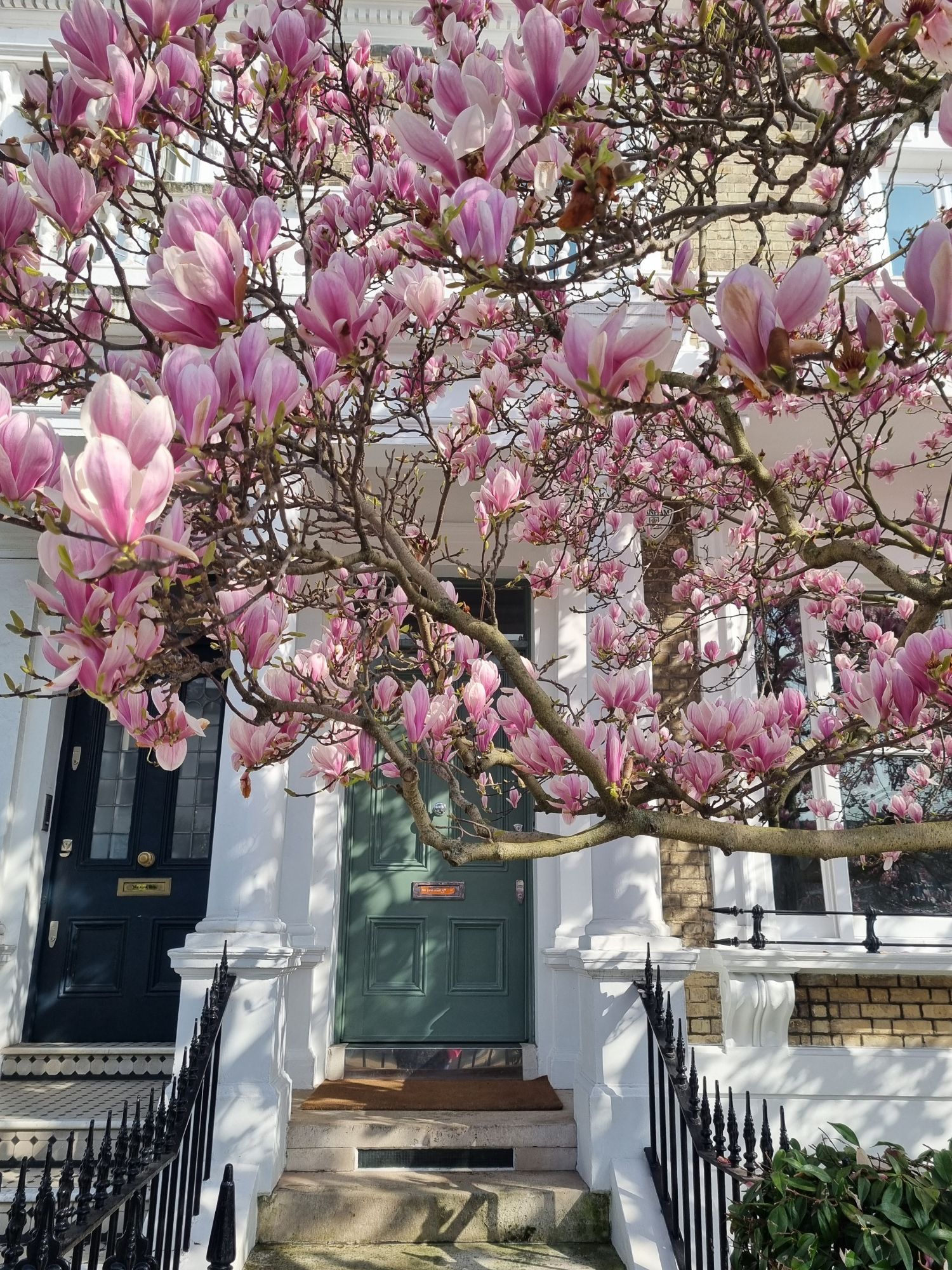 20240306_1151187233682693464237897