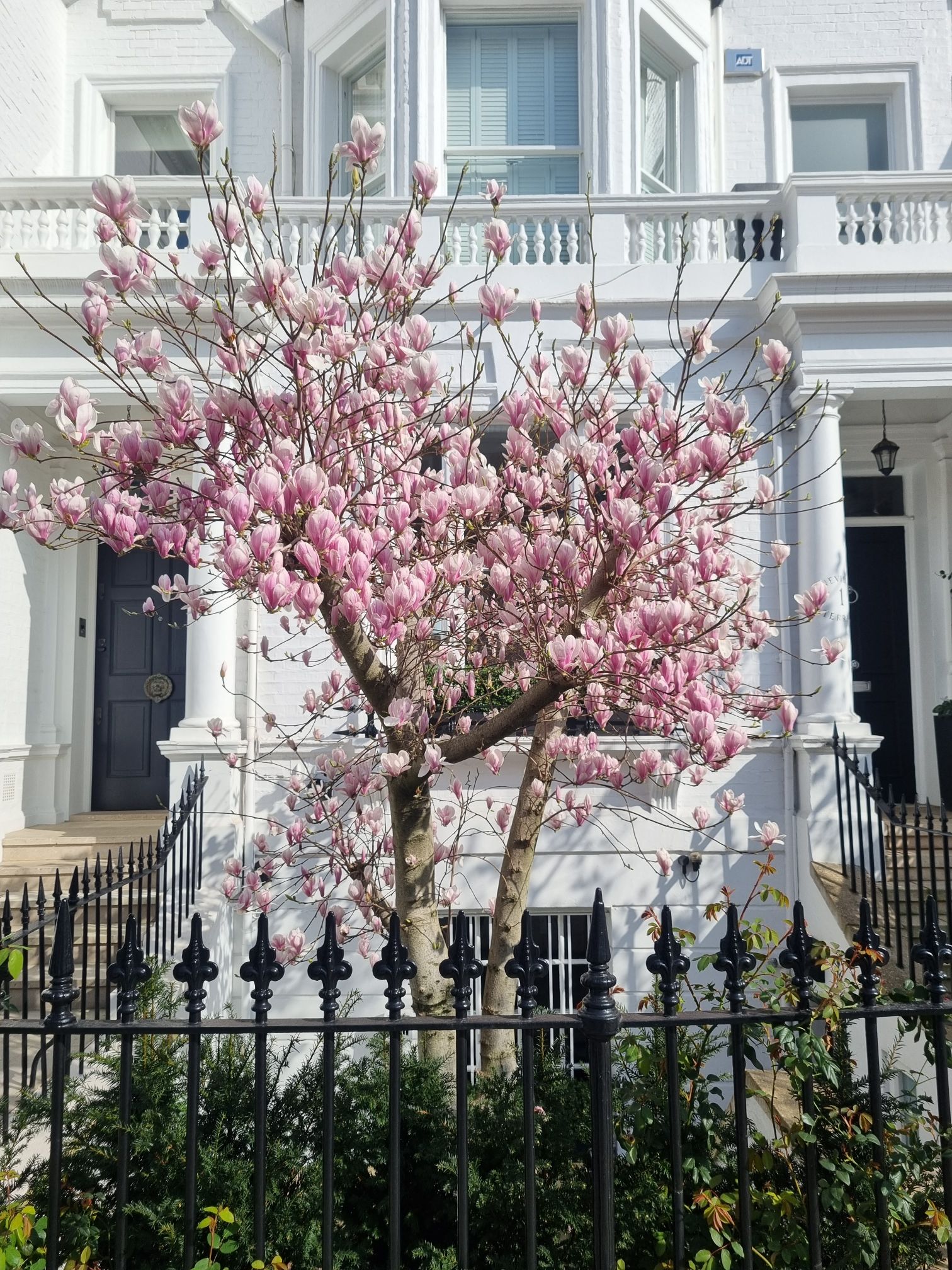 20240306_1152533882415242911218117