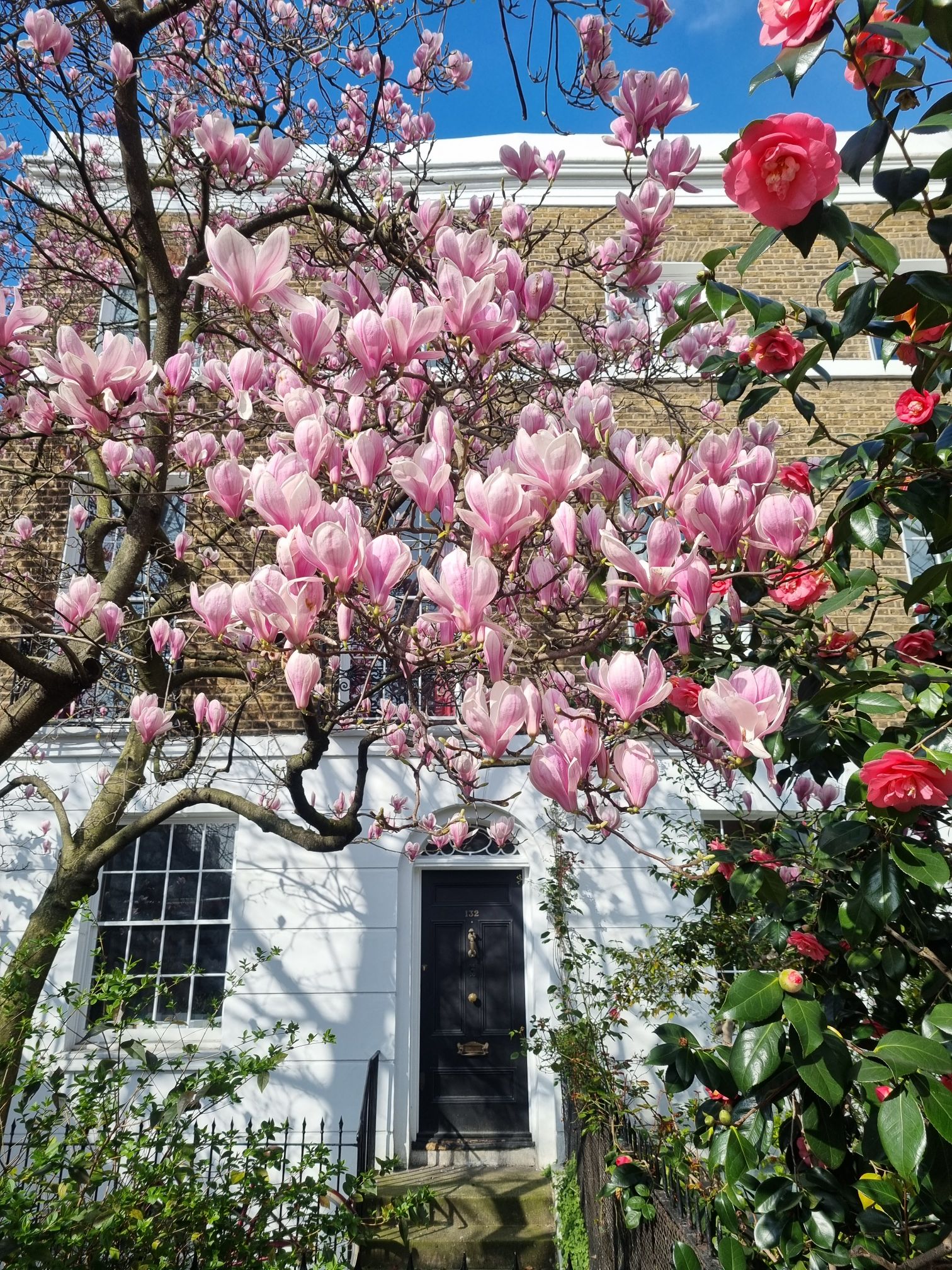 20240306_1156227330541125304426889