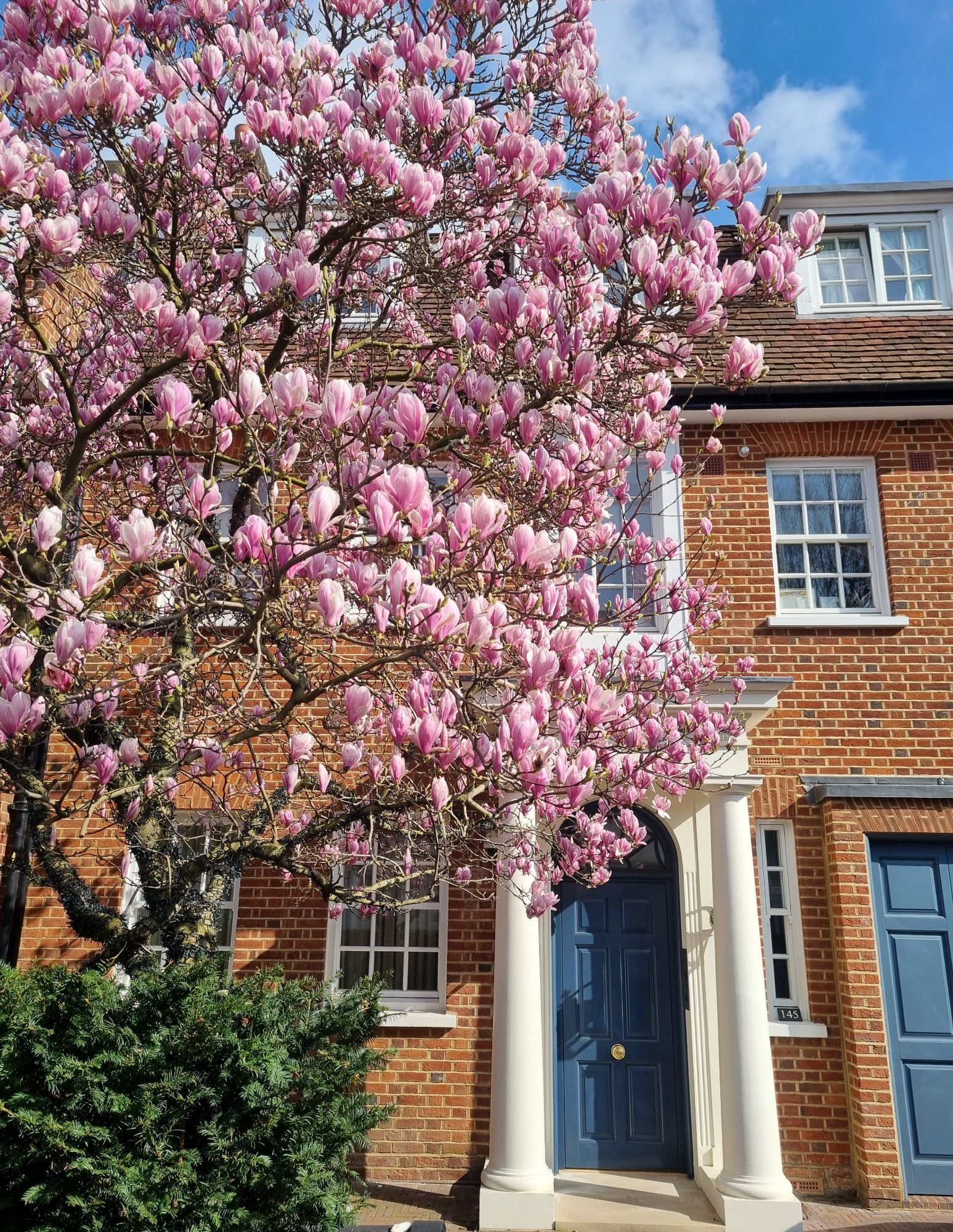 20240306_1203174989679152503343147