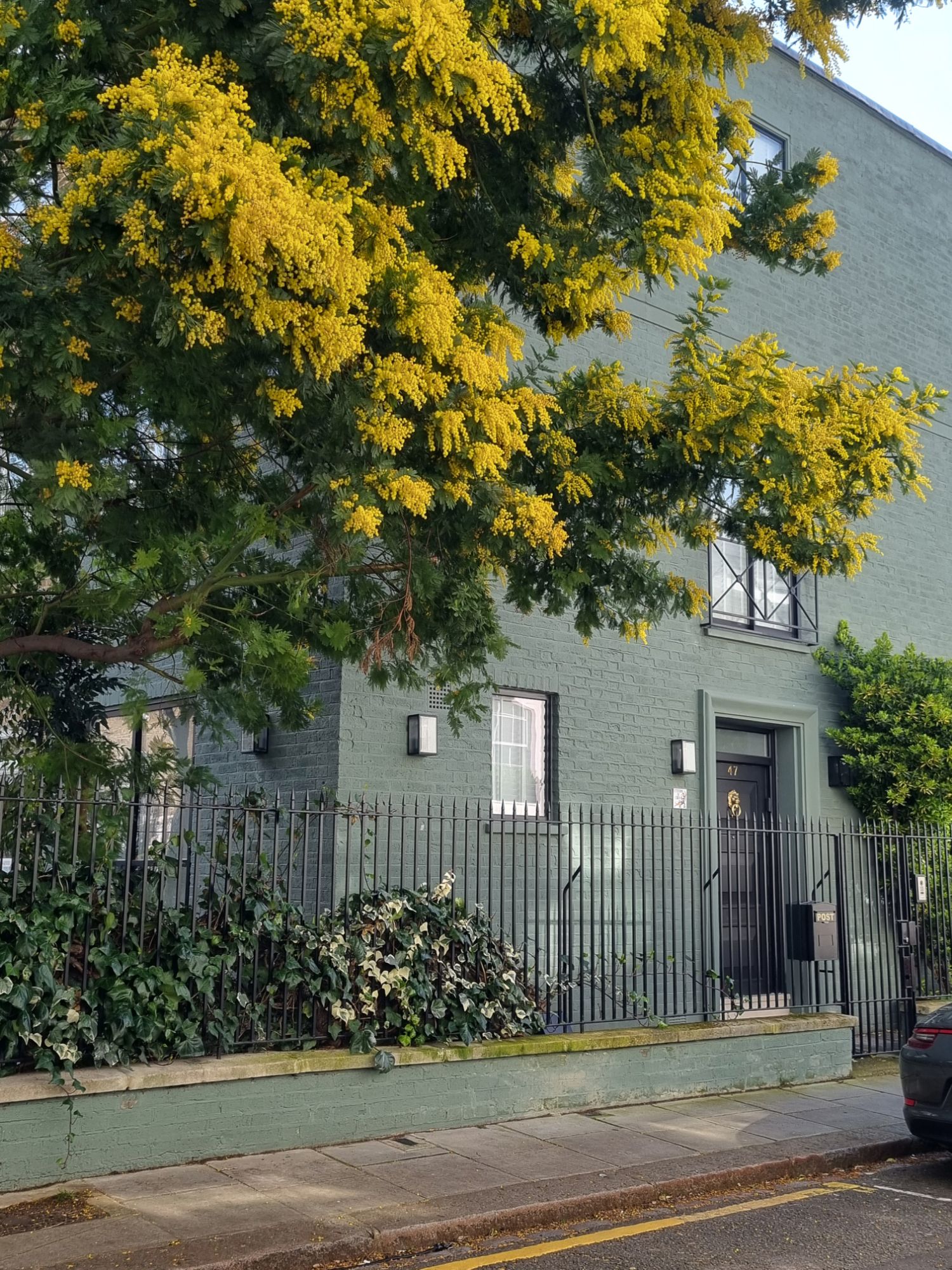 20240306_1207494628221077777180031