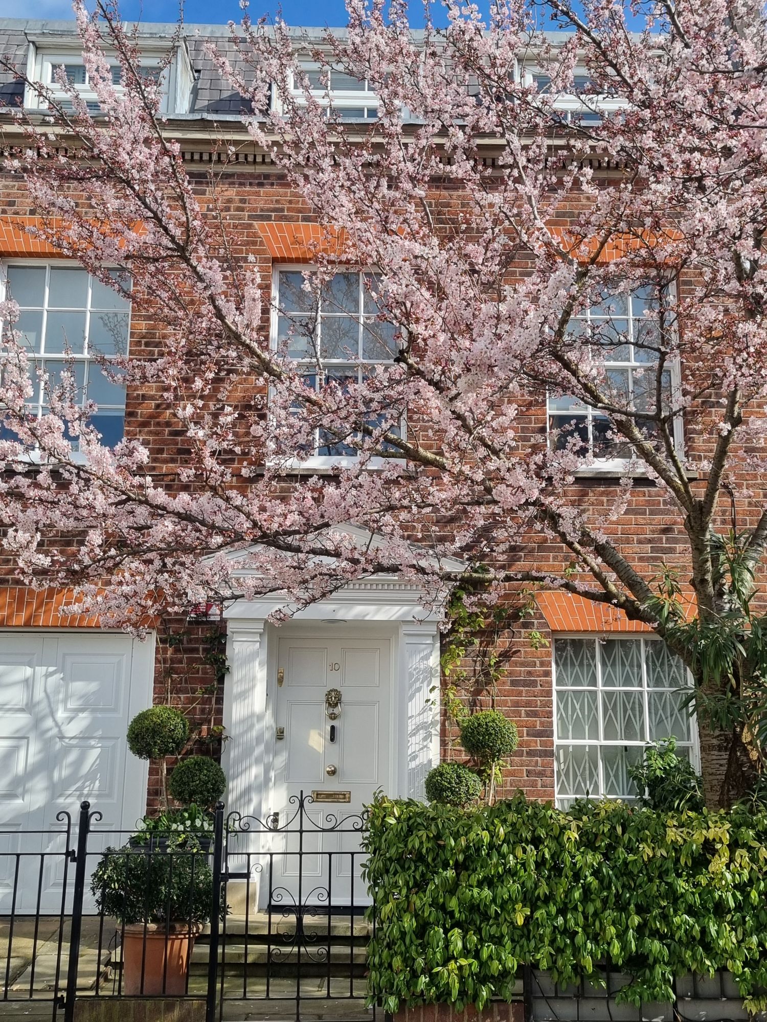 20240306_1209257836463603910279953