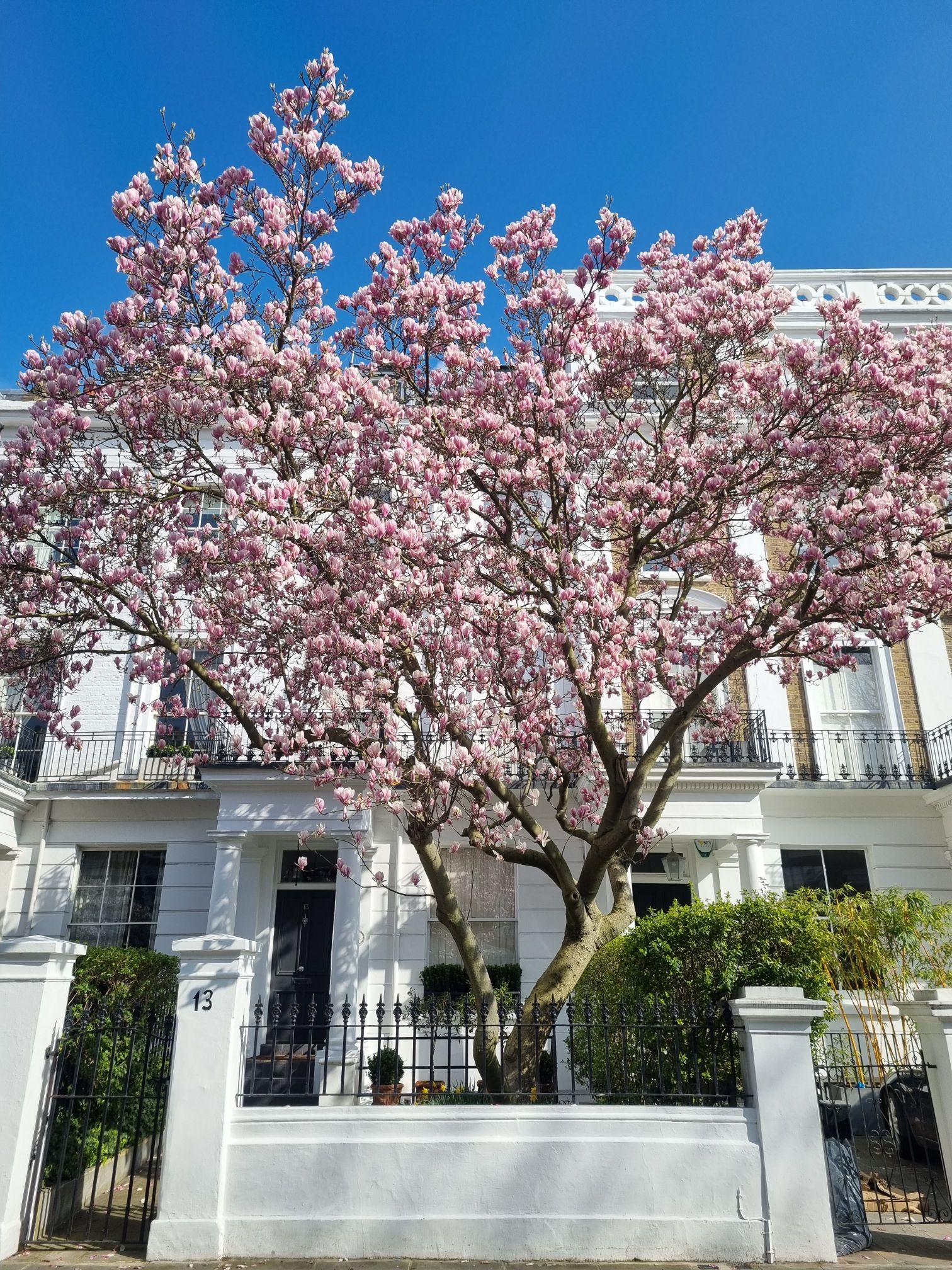 20240306_1219418426383507339614135