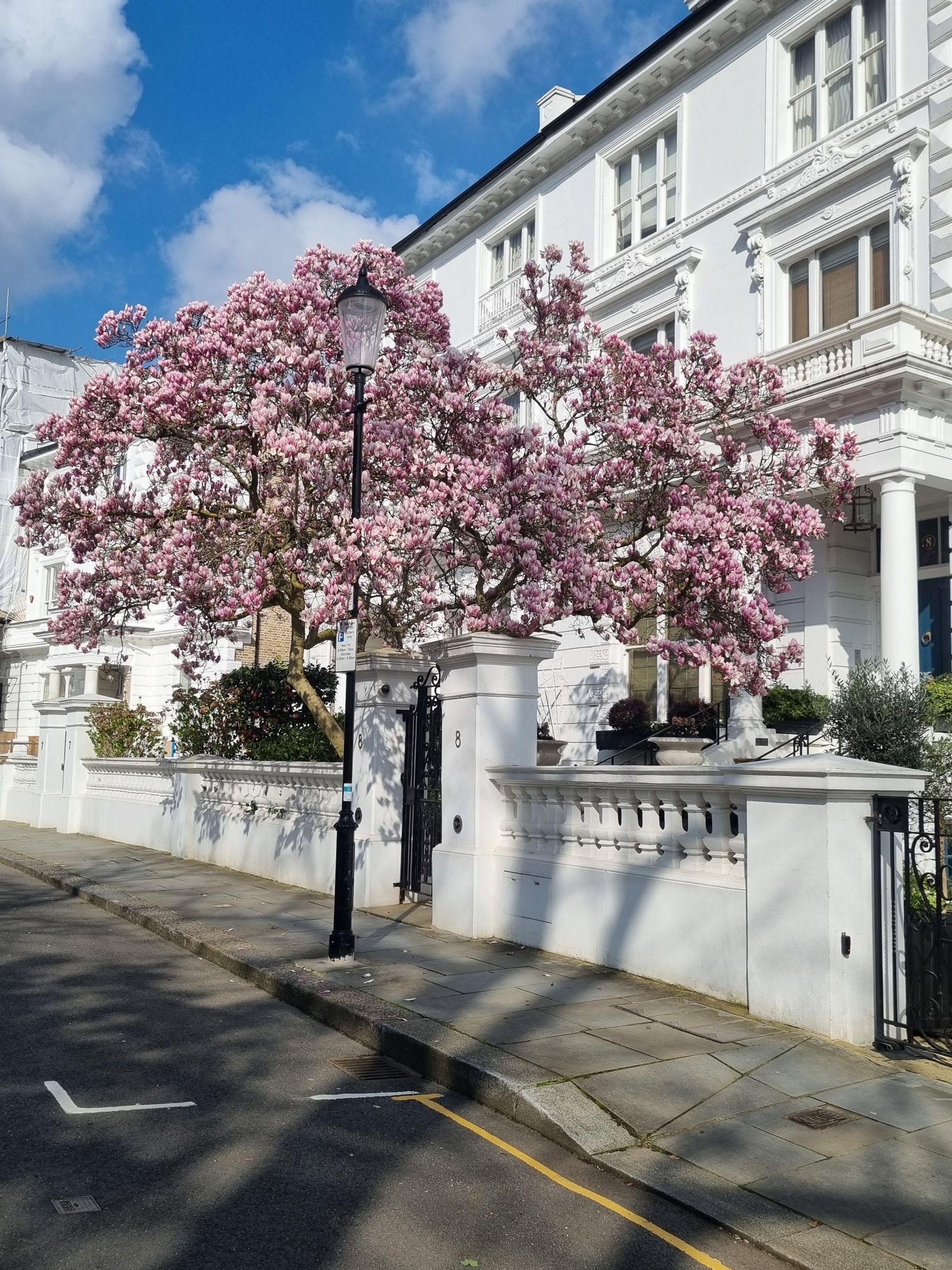 20240306_1230203450608404495979372