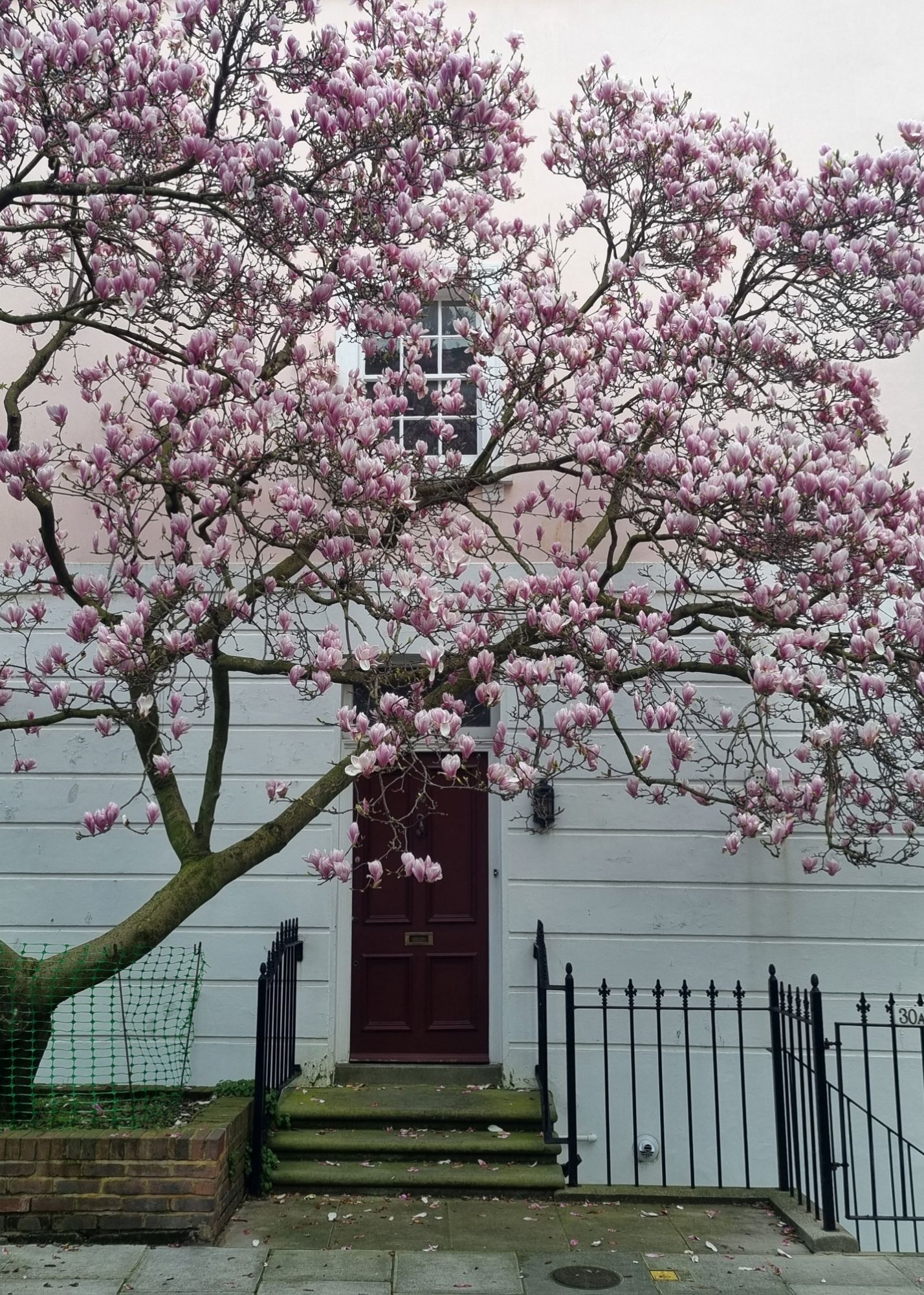 20240306_1312576900750690673005431