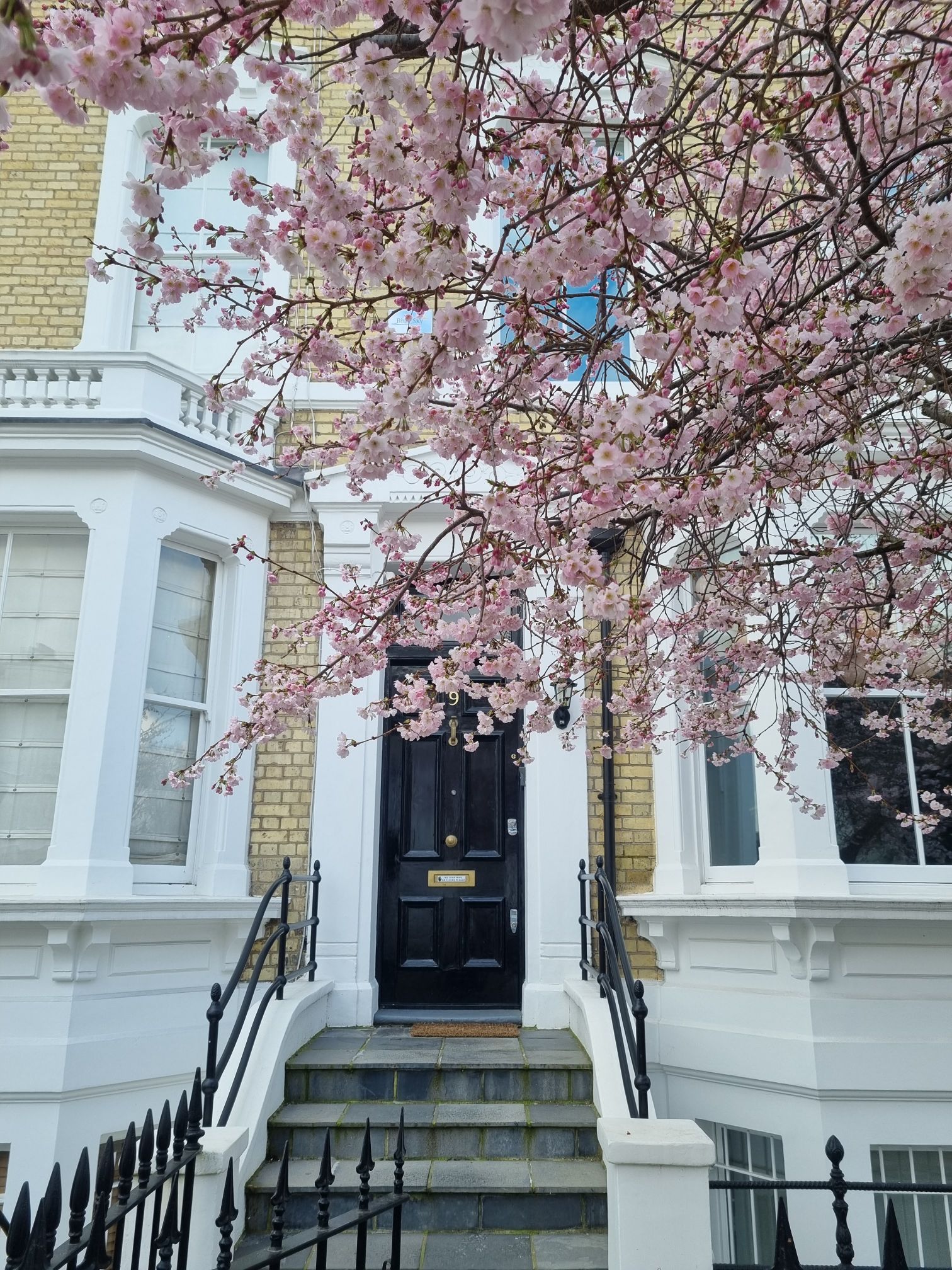 20240306_1315496303876775287081796