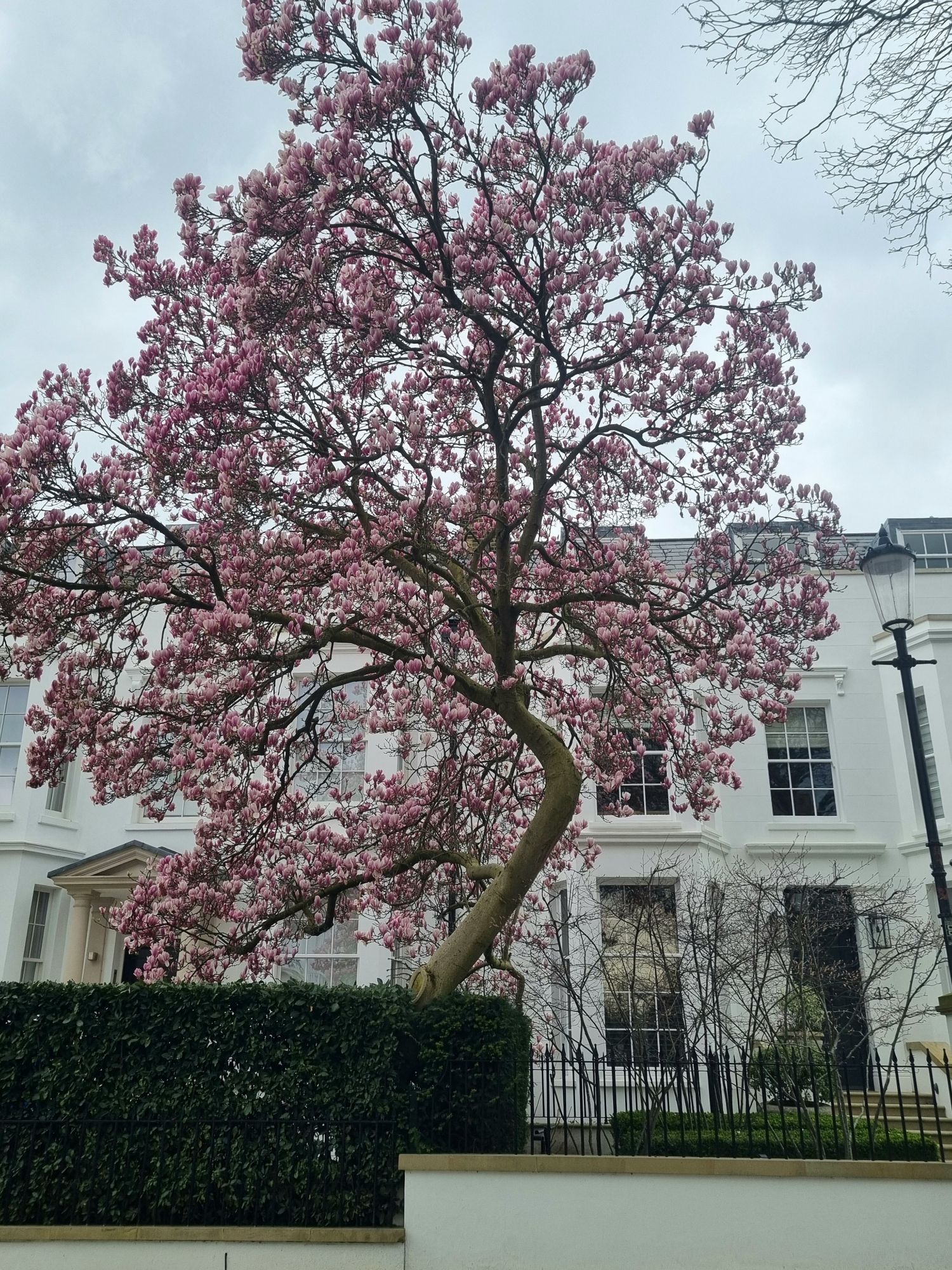 20240306_145506165140722625907735