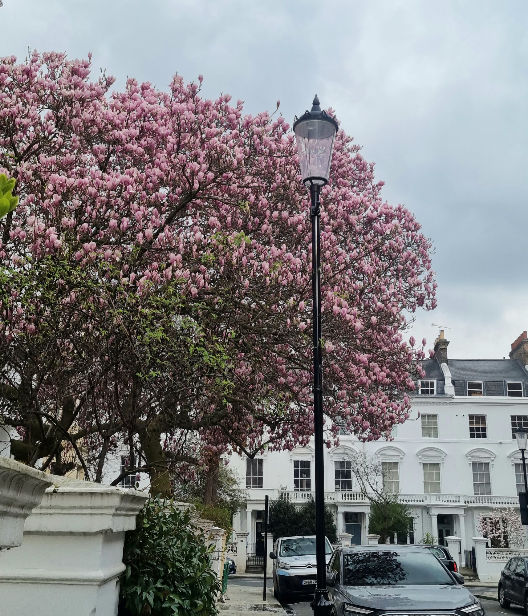 20240306_1459314050692255662604832