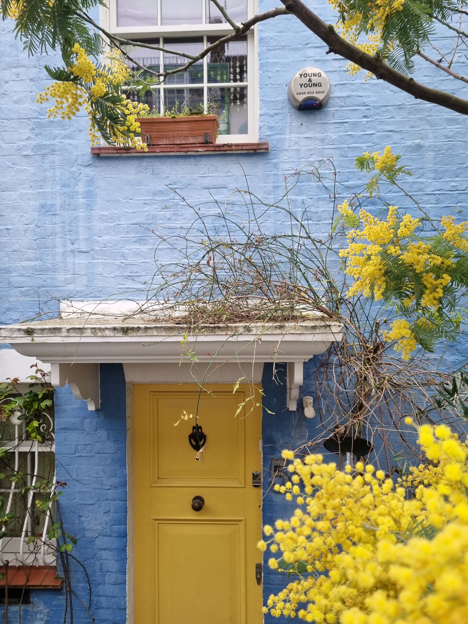 20240306_1507535932157362728904403