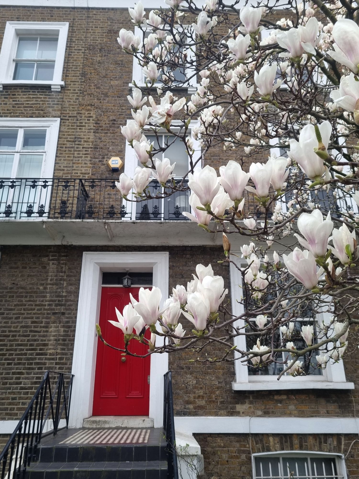 20240306_1524071502852080774092059