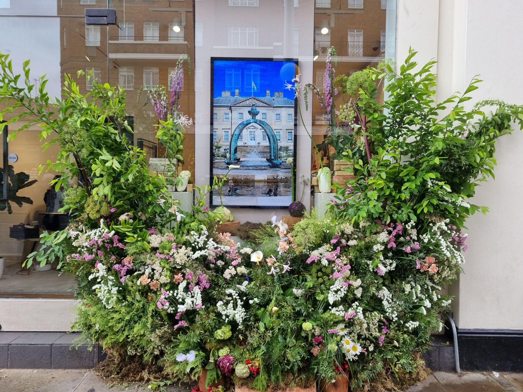 wp-17165652068916005933934694892086