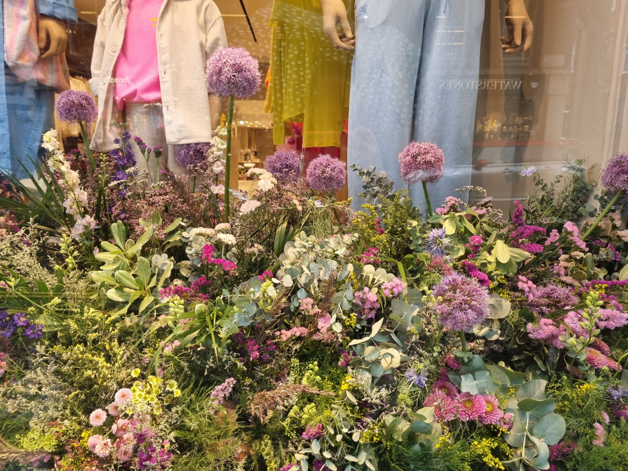 wp-17165652105051642341606183361141