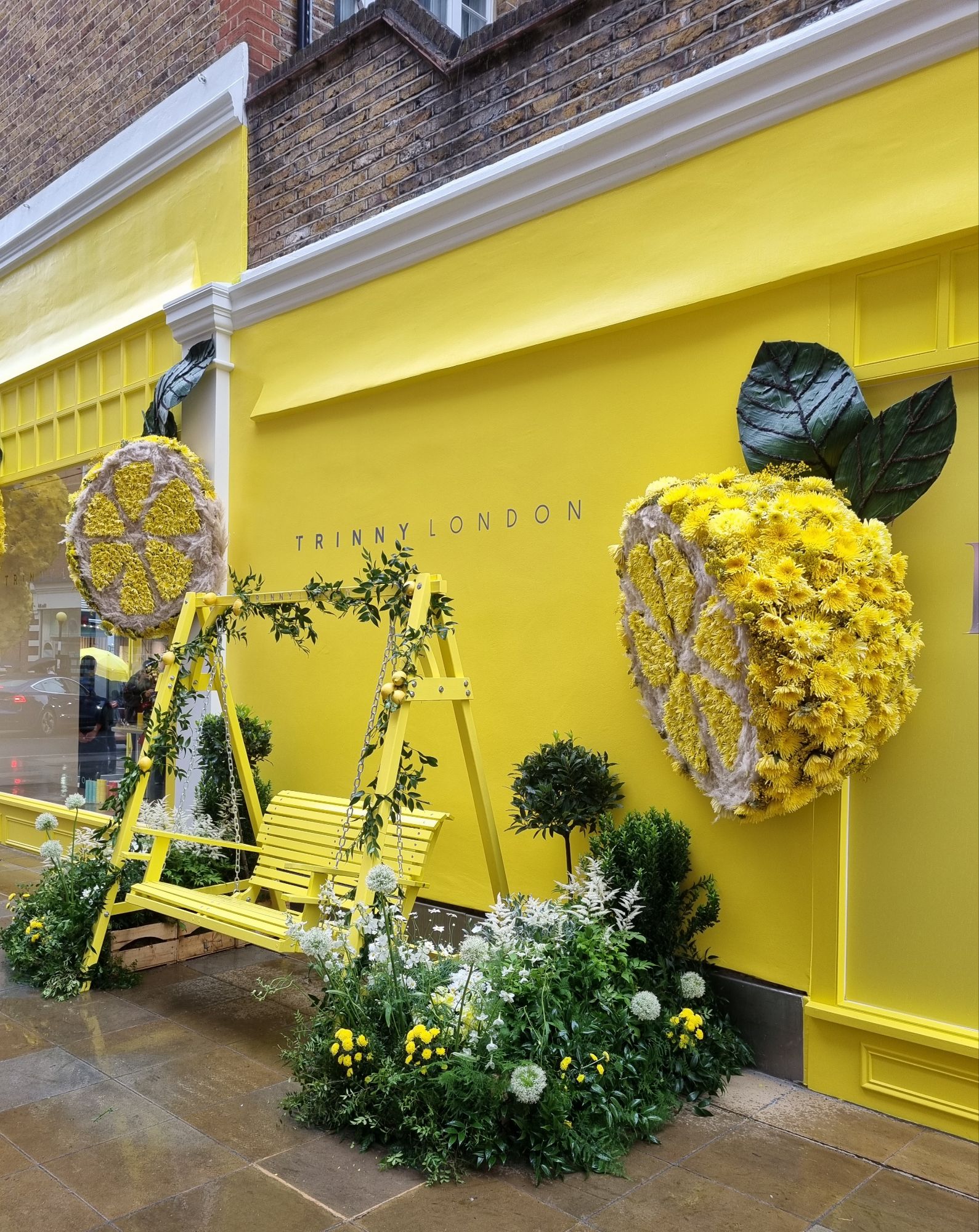 wp-17165652133173747005485907396942