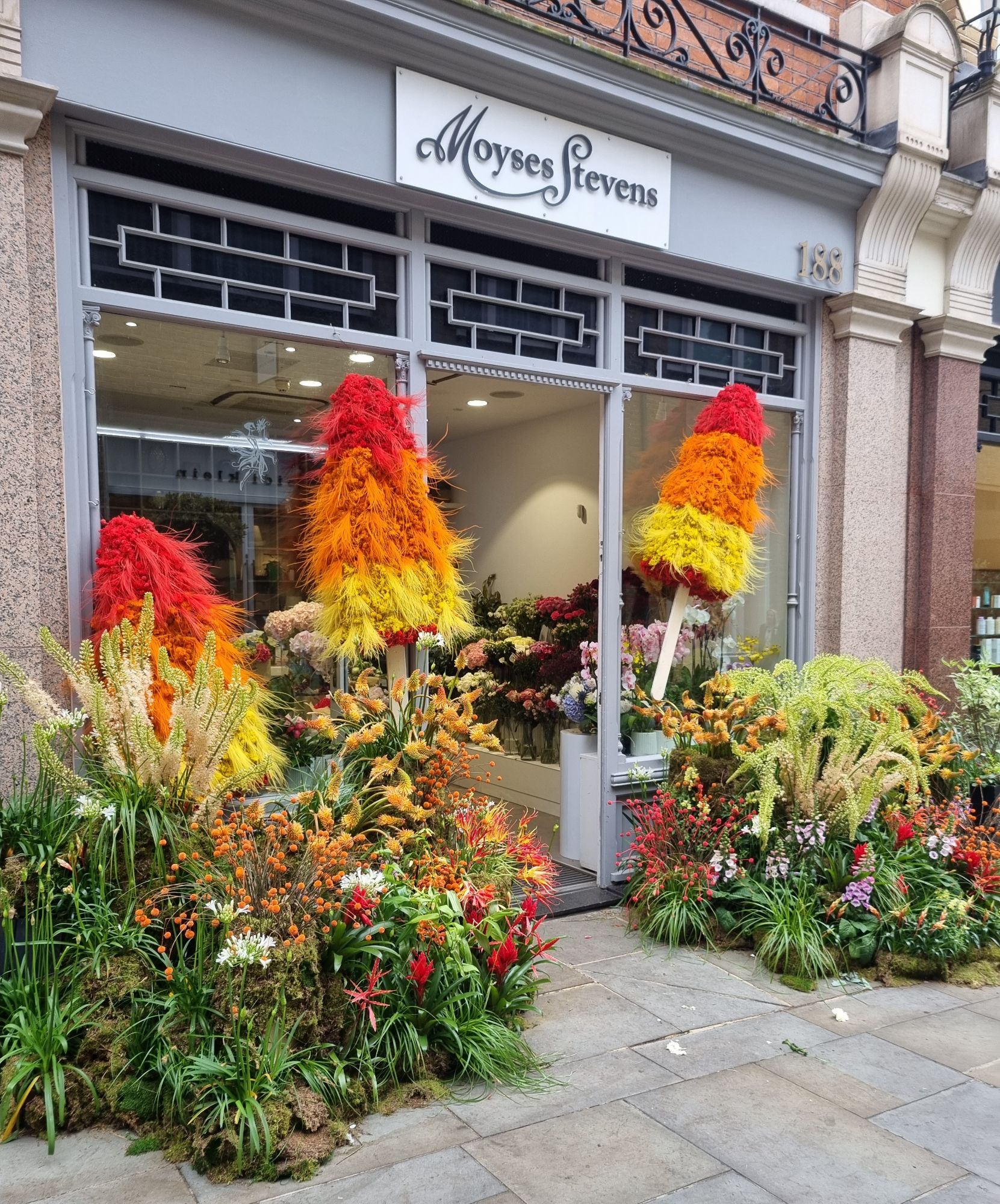 wp-17165652178033026919409353412562